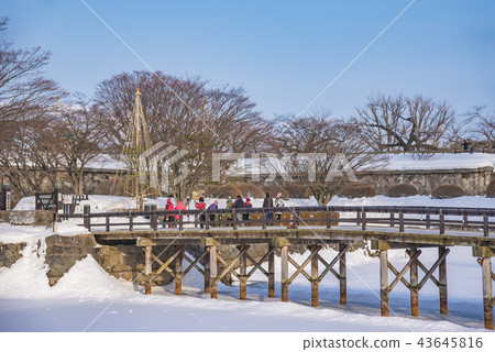 [Goryokaku] 43645816