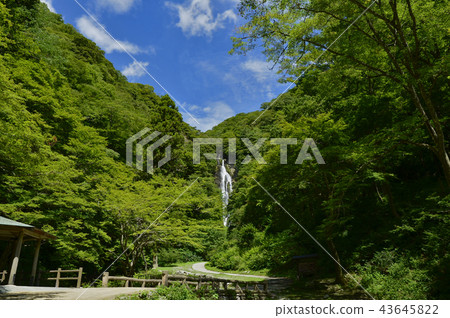 關馬瀑布 43645822