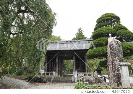 輕Maedera Jinonmon 43647035