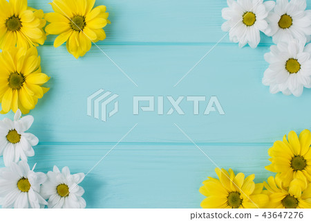 White and yellow flowers round composition. 43647276