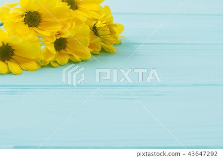 Yellow jerusalem artichoke flowers on blue wood. 43647292