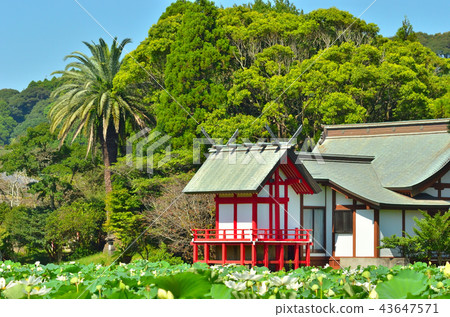 Mizunuma Shrine Mizunuma Shrine 43647571