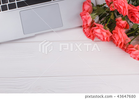 Laptop pc and rose flowers. Laptop pc and rose flowers. 43647680