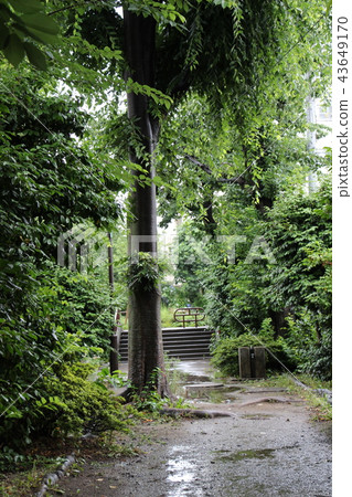 Rain path Rain path 43649170