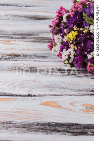 Bunch of different flowers. Bunch of different flowers. 43649247