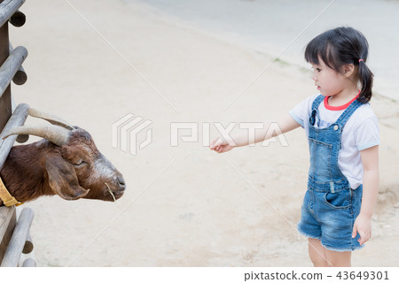 人 人物 孩子 43649301