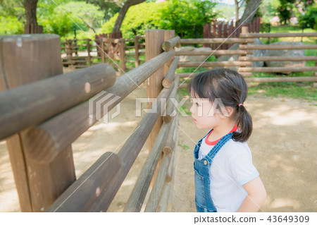 child, vixen, midinette 43649309