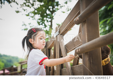 child, vixen, midinette 43649317