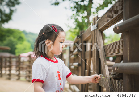 child, vixen, midinette 43649318