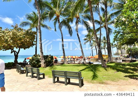 夏威夷的假期 夏威夷的假期 43649411