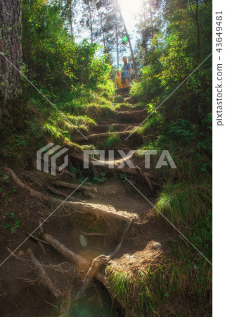 Woman with her son in forest 43649481