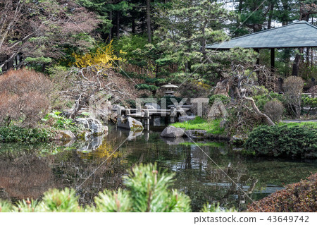 日本花園/日本傳統文化形象 43649742