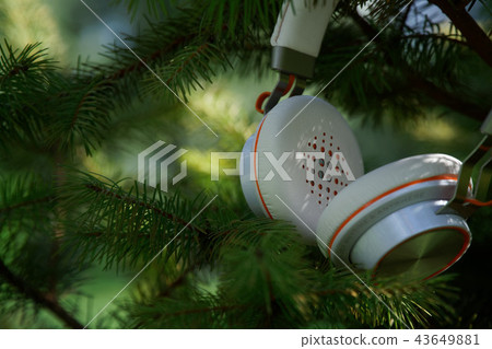 Headphone hanging on fir in sunny day 43649881