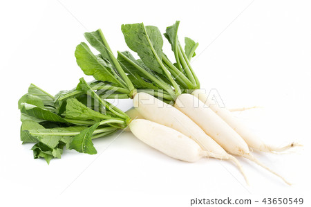 fresh white radish isolated on white background fresh white radish isolated on white background 43650549