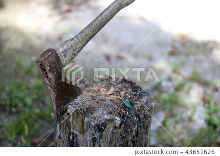 The ax is stabbed into the stump The ax is stabbed into the stump 43651626