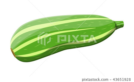 Green zucchini vegetable. Squash isolated on white Green zucchini vegetable. Squash isolated on white 43651928