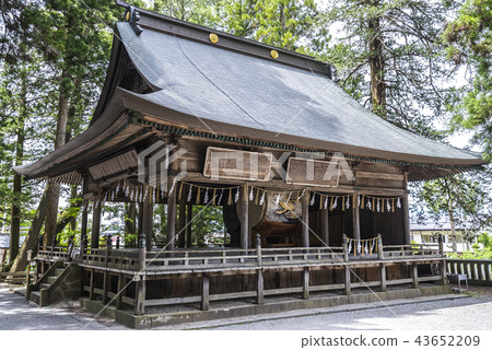 Suwa Taisha Kamija Hongu Kagura Hall surrounded by trees 43652209