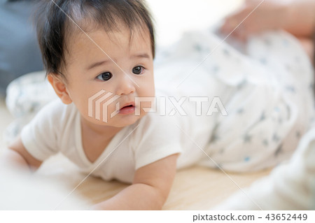 嬰兒 嬰兒 43652449