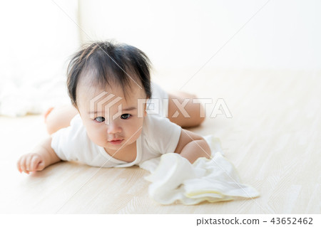 嬰兒 嬰兒 43652462