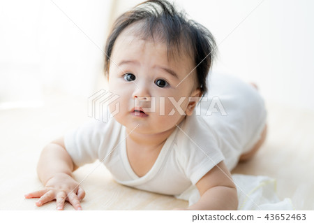 baby baby 43652463