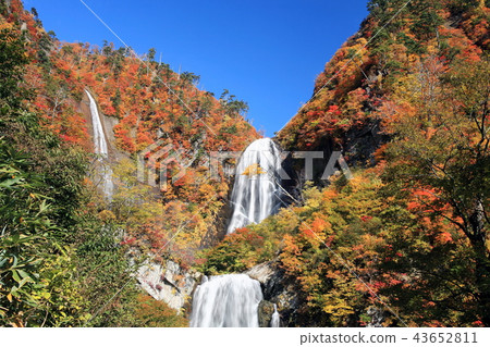 Takiaki Annoaki 43652811