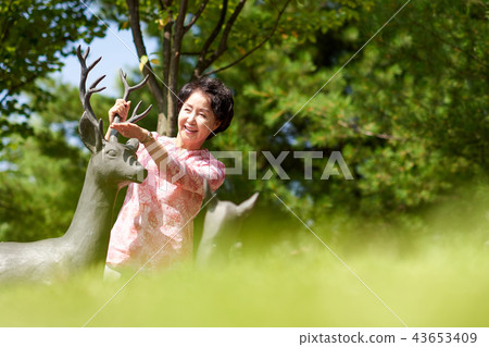 Senior Life 43653409