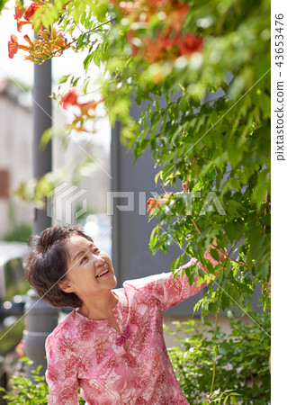 Senior Life 43653476
