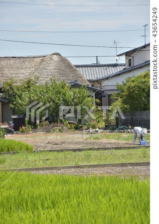 [Saga Prefecture Kashima City] Old houses of Himae Hamajuku and Hamonaka-cho Yahon Ki-yado 43654249