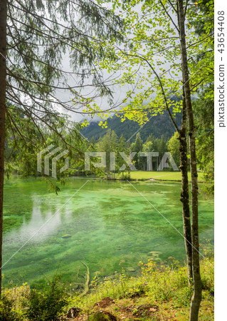 Schiederweiher, beautiful lake in Austria   43654408
