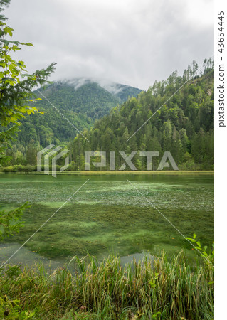 Schiederweiher, beautiful lake in Austria   43654445