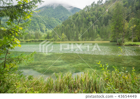 Schiederweiher, beautiful lake in Austria Schiederweiher, beautiful lake in Austria 43654449