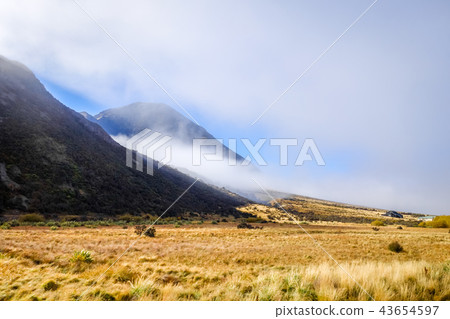 Mountain fields landscape in New Zealand Mountain fields landscape in New Zealand 43654597