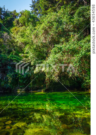 River in Abel Tasman National Park, New Zealand 43654598