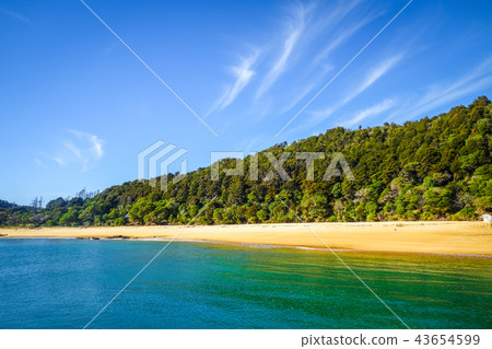 Abel Tasman National Park, New Zealand Abel Tasman National Park, New Zealand 43654599