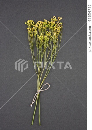 在灰色背景乾燥花上的黃色花 照片素材 圖片 圖庫