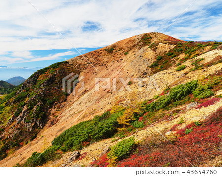 Kusatsu Shirane山的彩色的葉子 43654760