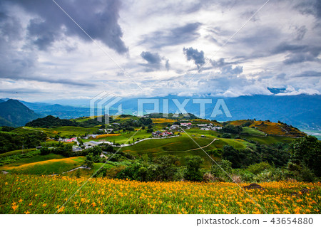 台灣花蓮富里六十石山金針花海Asia Taiwan Hualien Mountains 43654880