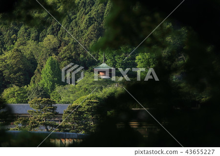 京都嵐山的風景 43655227