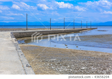 After the tide of Tara-cho sea floor [Tara-cho, Saga Prefecture] 43656204