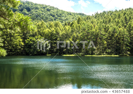 Shinshu Nagano Prefecture Chino-shi Okushina Oke Kaike 43657488