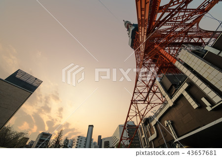 [東京鐵塔]夜景 43657681