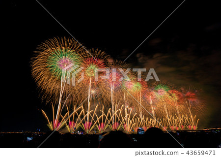 Nagaoka Fireworks-Phoenix 43659471