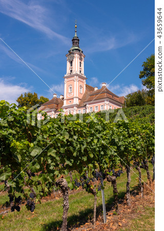 Landscape with vineyards and pilgrimage church Landscape with vineyards and pilgrimage church 43659644