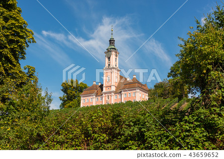Landscape with vineyards and pilgrimage church Landscape with vineyards and pilgrimage church 43659652