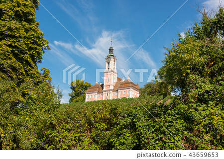 Landscape with vineyards and pilgrimage church Landscape with vineyards and pilgrimage church 43659653