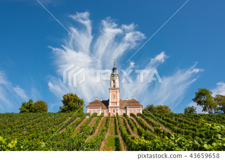 Vineyards and the pilgrimage church at Birnau 43659658
