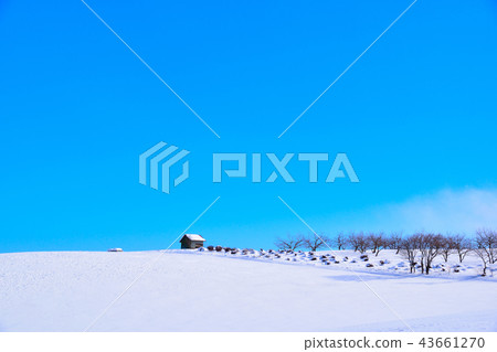 多雪的風景丘陵 多雪的風景丘陵 43661270