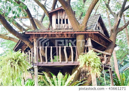 tree house in the garden tree house in the garden 43661271