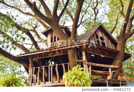 tree house in the garden 43661272
