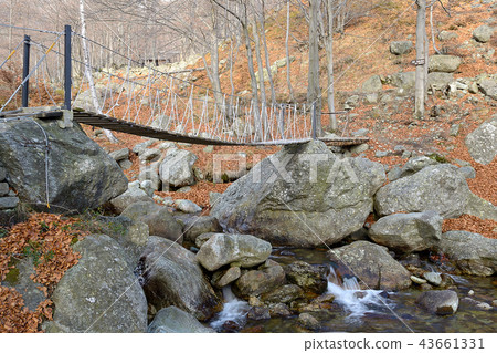 Rope suspended footbridge Rope suspended footbridge 43661331
